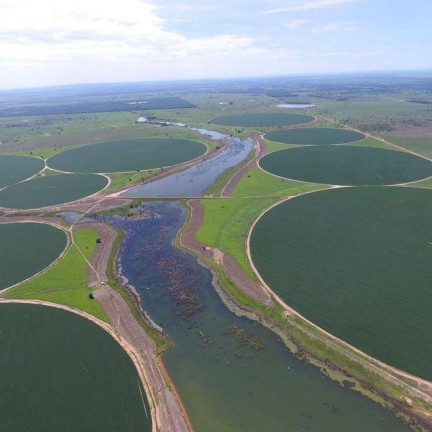 Imagem Fazenda à Venda, 3.000 m² em Zona Rural - Jussara Imagem Fazenda à Venda, 3.000 m² em Zona Rural - Jussara