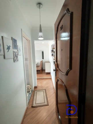 Imagem Apartamento com 2 Quartos à Venda, 55 m² em Vila Robertina - São Paulo Imagem Apartamento com 2 Quartos à Venda, 55 m² em Vila Robertina - São Paulo