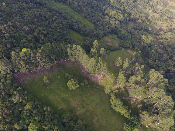 Imagem Terreno à Venda, 370.489 m² em Sul Do Rio - Santo Amaro Da Imperatriz Imagem Terreno à Venda, 370.489 m² em Sul Do Rio - Santo Amaro Da Imperatriz