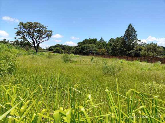 Terreno à Venda, 4.000 m² em Vila São Vicente - Anápolis