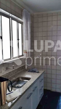 Imagem Casa com 4 Quartos para Alugar, 230 m² em Vila Maria Alta - São Paulo Imagem Casa com 4 Quartos para Alugar, 230 m² em Vila Maria Alta - São Paulo