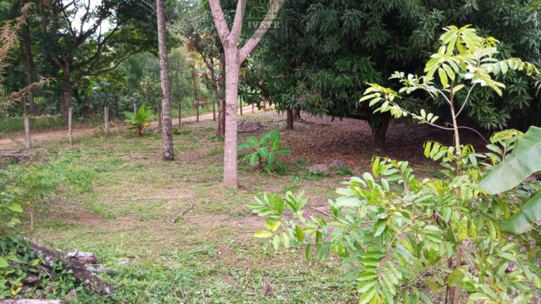 Imagem Casa com 4 Quartos à Venda, 2.000 m²