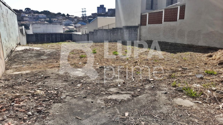 Imagem Terreno para Alugar, 480 m² em Vila Guilherme - São Paulo Imagem Terreno para Alugar, 480 m² em Vila Guilherme - São Paulo