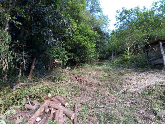 Imagem Terreno à Venda, 6 m² em Linha Temerária - Nova Petrópolis