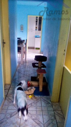 Imagem Imóvel com 2 Quartos à Venda, 50 m² em Vila Nova - Porto Alegre Imagem Imóvel com 2 Quartos à Venda, 50 m² em Vila Nova - Porto Alegre