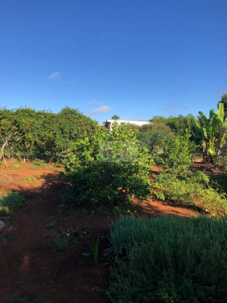 Imagem Chácara com 4 Quartos à Venda, 1.580 m² em Jardim Cananéia - Pilar Do Sul Imagem Chácara com 4 Quartos à Venda, 1.580 m² em Jardim Cananéia - Pilar Do Sul