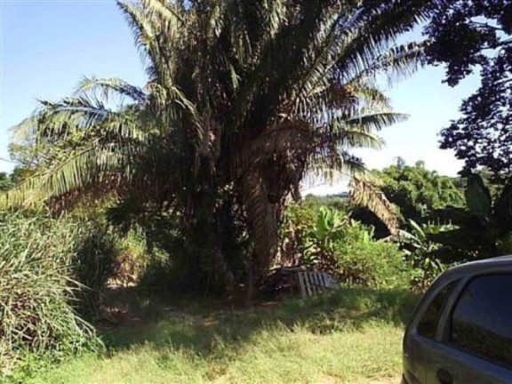 Imagem Imóvel com 3 Quartos à Venda, 37.800 m² em Três Vendas - Campinas