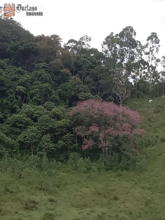 Imagem Chácara com 3 Quartos à Venda, 41.000 m² em Bairro Do Azevedo - Joanópolis Imagem Chácara com 3 Quartos à Venda, 41.000 m² em Bairro Do Azevedo - Joanópolis