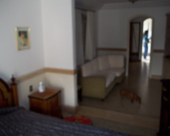 Imagem Casa com 3 Quartos à Venda, 500 m² em Indianópolis - São Paulo