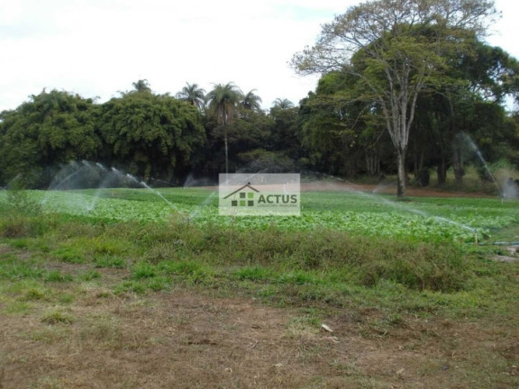 Imagem Chácara à Venda, 20.000 m² em Campo Verde - Mário Campos Imagem Chácara à Venda, 20.000 m² em Campo Verde - Mário Campos