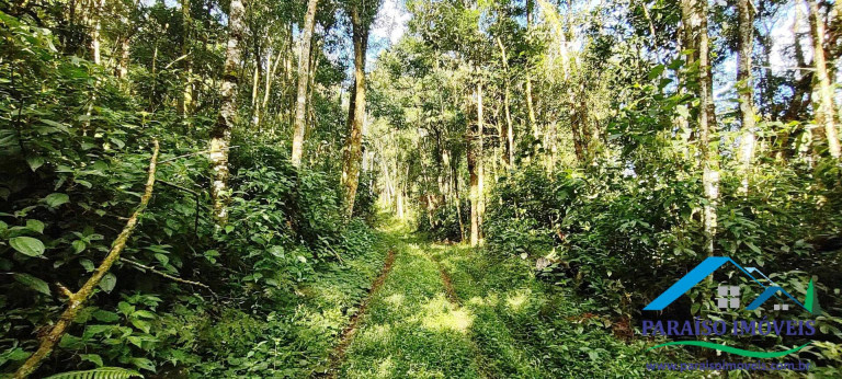 Imagem Chácara à Venda, 81 m² em Centro - Gonçalves