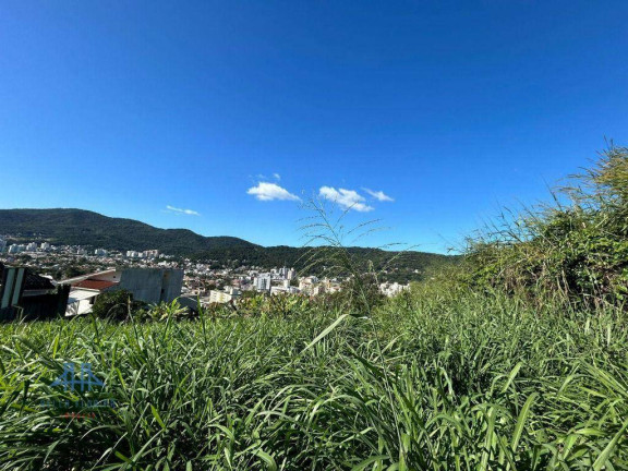 Imagem Terreno à Venda, 3.800 m² em Córrego Grande - Florianópolis