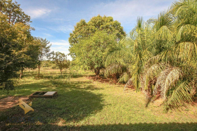 Imagem Chácara com 2 Quartos à Venda, 400 m² em Zona Rural - Campo Grande Imagem Chácara com 2 Quartos à Venda, 400 m² em Zona Rural - Campo Grande