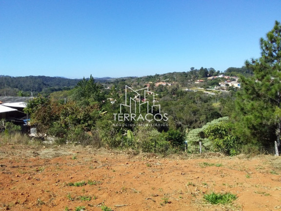 Imagem Terreno à Venda, 675 m² em Estrada São João - Jarinu Imagem Terreno à Venda, 675 m² em Estrada São João - Jarinu
