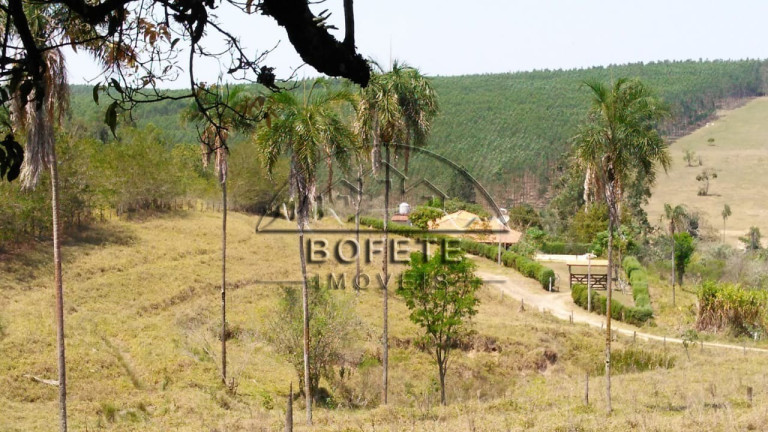 Imagem Imóvel com 3 Quartos à Venda, 10.000 m² em Recanto Valência - Bofete