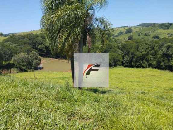 Imagem Fazenda à Venda, 471.900 m² em Zona Rural - Palmital Imagem Fazenda à Venda, 471.900 m² em Zona Rural - Palmital