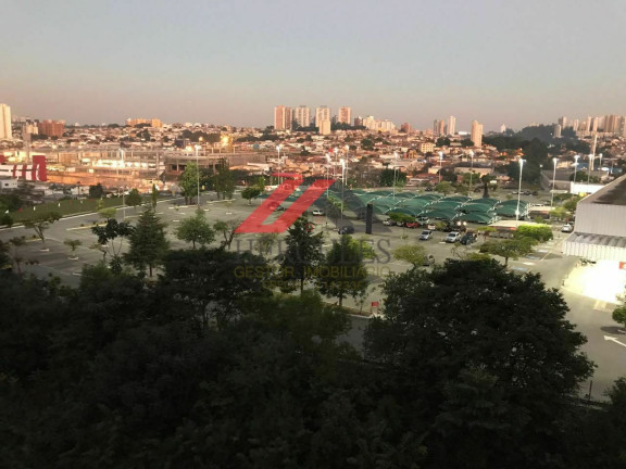 Imagem Apartamento com 3 Quartos à Venda, 68 m² em Jardim Das Vertentes - São Paulo