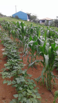 Imagem Terreno à Venda, 1.900 m² em Taubaté