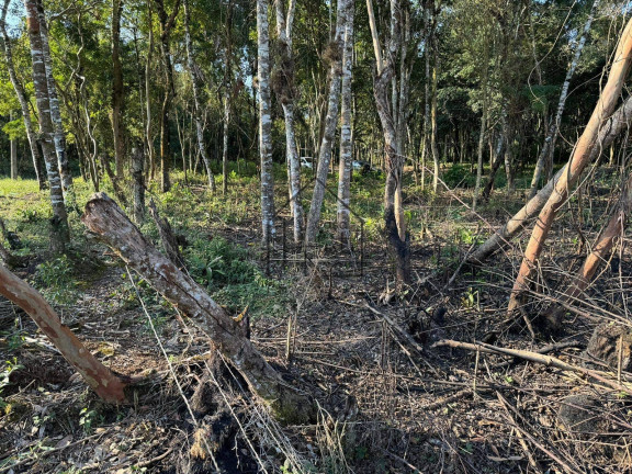 Imagem Terreno à Venda, 1.000 m² em Verava - Ibiúna
