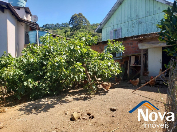Imagem Imóvel com 3 Quartos à Venda, 85 m² em Piá - Nova Petrópolis