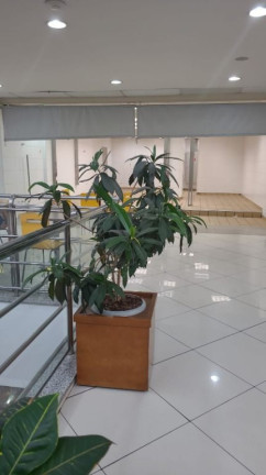 Imagem Sala Comercial para Alugar, 42 m² em Centro - Itaquaquecetuba