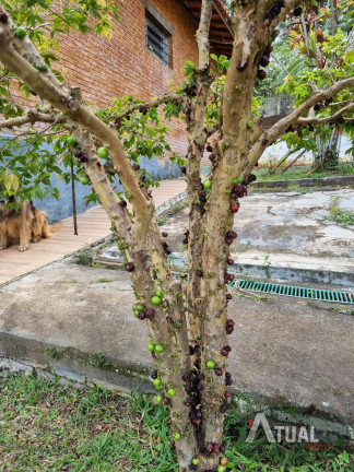 Imagem Chácara com 3 Quartos à Venda, 600 m² em Recanto Dos Palmares - Atibaia Imagem Chácara com 3 Quartos à Venda, 600 m² em Recanto Dos Palmares - Atibaia