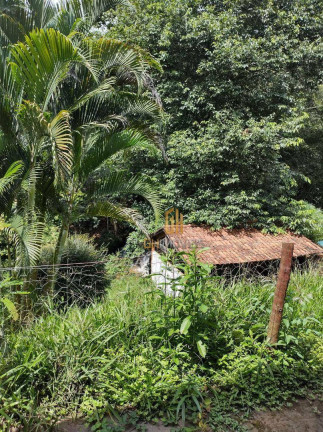 Imagem Chácara à Venda, 20.000 m² em área Rural - Leopoldo De Bulhões Imagem Chácara à Venda, 20.000 m² em área Rural - Leopoldo De Bulhões