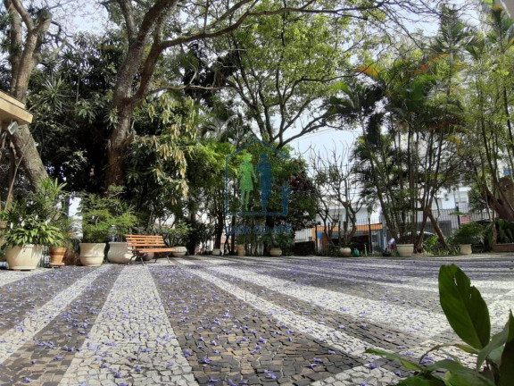 Imagem Apartamento com 3 Quartos à Venda, 70 m² em Vila Mascote - São Paulo