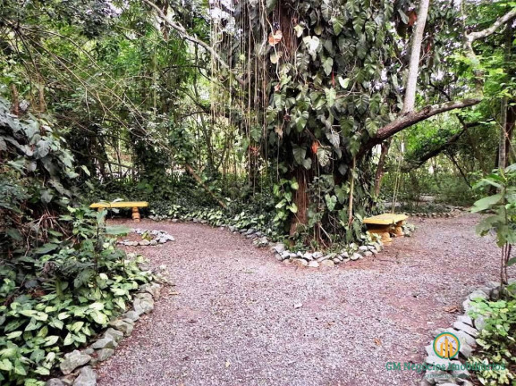 Imagem Casa de Condomínio com 4 Quartos à Venda, 640 m² em Jardim Mediterrâneo - Cotia