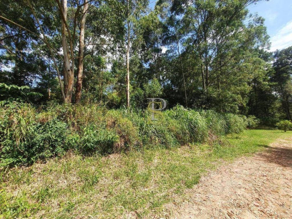 Imagem Terreno à Venda, 1.200 m² em Jundiaizinho - Mairiporã Imagem Terreno à Venda, 1.200 m² em Jundiaizinho - Mairiporã