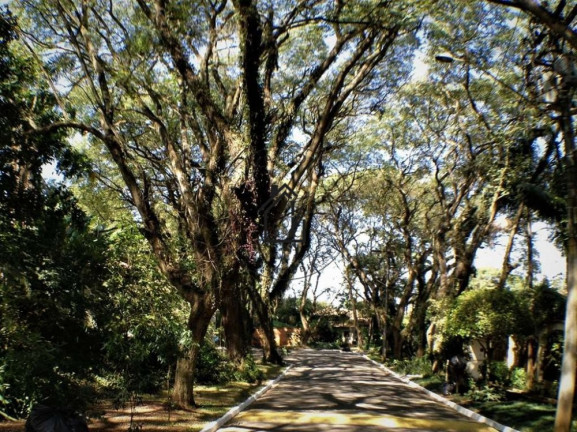 Imagem Imóvel à Venda, 229 m² em Granja Viana - Cotia Imagem Imóvel à Venda, 229 m² em Granja Viana - Cotia