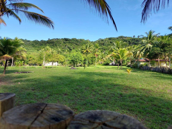 Imagem Terreno à Venda, em Serra Grande - Uruçuca - Uruçuca Imagem Terreno à Venda, em Serra Grande - Uruçuca - Uruçuca