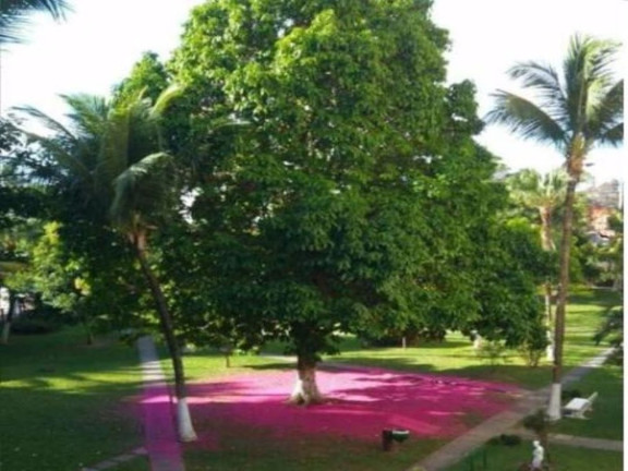 Imagem Apartamento com 2 Quartos à Venda, 63 m² em Estrada Do Coco - Lauro De Freitas Imagem Apartamento com 2 Quartos à Venda, 63 m² em Estrada Do Coco - Lauro De Freitas
