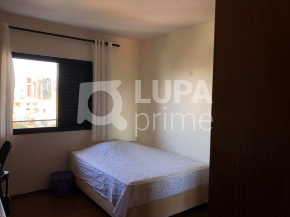 Imagem Apartamento com 3 Quartos à Venda, 125 m² em Vila Paulicéia - São Paulo Imagem Apartamento com 3 Quartos à Venda, 125 m² em Vila Paulicéia - São Paulo