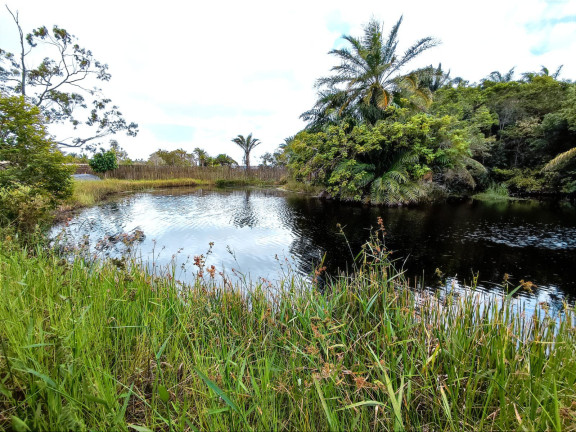 Imagem Terreno à Venda, 400 m² em Abrantes - Camaçari Imagem Terreno à Venda, 400 m² em Abrantes - Camaçari