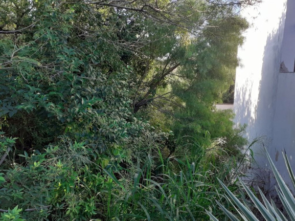 Imagem Terreno à Venda, 448 m² em Ipanema - Porto Alegre Imagem Terreno à Venda, 448 m² em Ipanema - Porto Alegre
