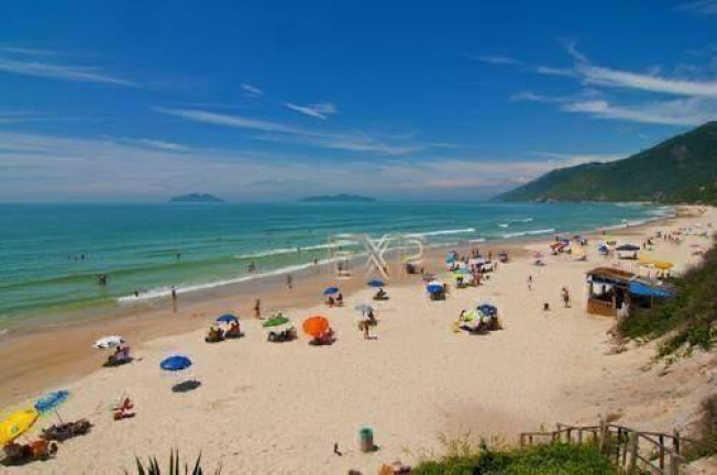 Imagem Terreno à Venda, 380 m² em Pântano Do Sul - Florianópolis Imagem Terreno à Venda, 380 m² em Pântano Do Sul - Florianópolis