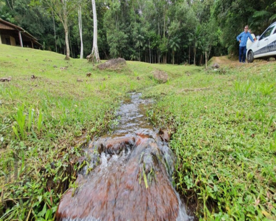 Imagem Imóvel com 1 Quarto à Venda, 7.500 m² em Cedro Grande - Brusque