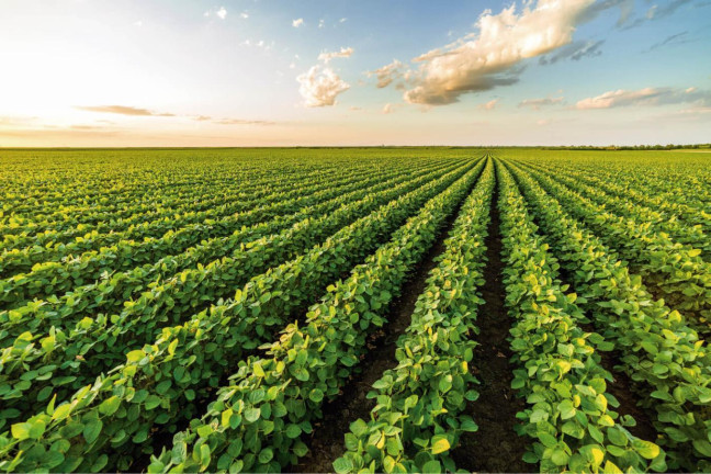 Imagem Fazenda à Venda, 2.178 m² em Rural - Itaí Imagem Fazenda à Venda, 2.178 m² em Rural - Itaí