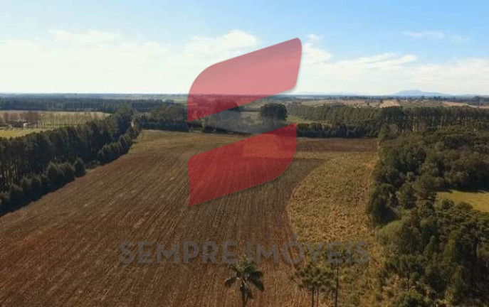 Imagem Terreno à Venda, 20.045 m² em Roseira - São José Dos Pinhais