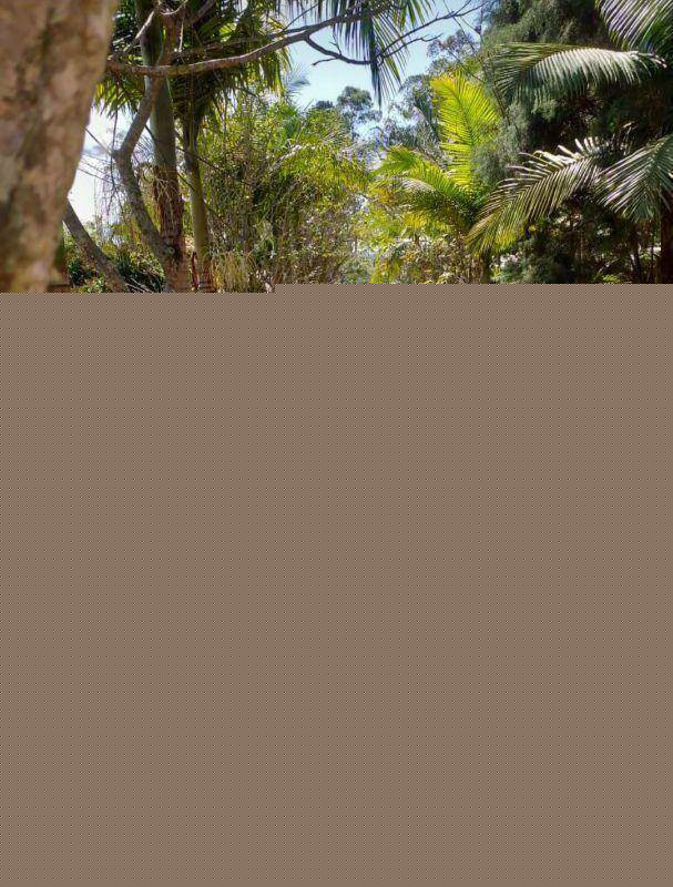 Imagem Imóvel à Venda, 27.000 m² em Quarta Divisão - Ribeirão Pires