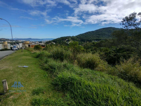 Imagem Terreno à Venda, 533 m² em Itacorubi - Florianópolis