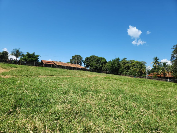Imagem Fazenda à Venda, 800 m² em Zona Rural - Santo Antônio Do Aracanguá Imagem Fazenda à Venda, 800 m² em Zona Rural - Santo Antônio Do Aracanguá