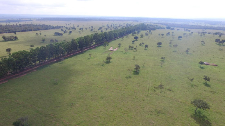 Imagem Fazenda à Venda, 3.400 m² em Rural - Campo Grande Imagem Fazenda à Venda, 3.400 m² em Rural - Campo Grande