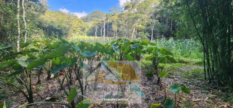 Imagem Terreno à Venda, 23 m²