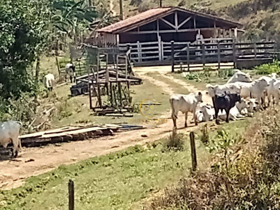 Imagem Fazenda à Venda, 3.388.000 m² em Centro - Areias Imagem Fazenda à Venda, 3.388.000 m² em Centro - Areias