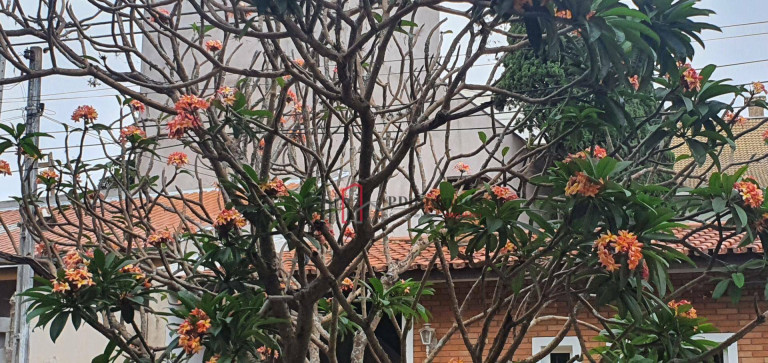 Imagem Casa com 4 Quartos à Venda, 280 m² em Jardim Chapadão - Campinas Imagem Casa com 4 Quartos à Venda, 280 m² em Jardim Chapadão - Campinas