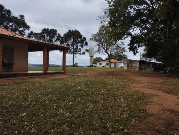 Imagem Fazenda à Venda, 76 m² em Rural - Taquarituba Imagem Fazenda à Venda, 76 m² em Rural - Taquarituba