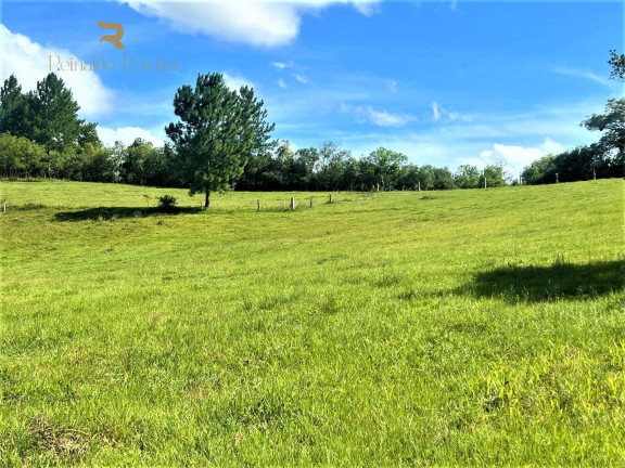 Imagem Chácara à Venda, 140.000 m² em Morungava - Gravataí Imagem Chácara à Venda, 140.000 m² em Morungava - Gravataí