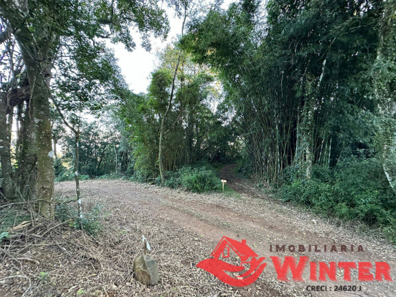 Imagem Chácara à Venda, em Linha Nova Imagem Chácara à Venda, em Linha Nova